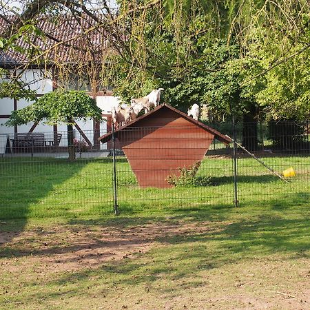 Gut Dankerode Apartman Dankerode  Kültér fotó