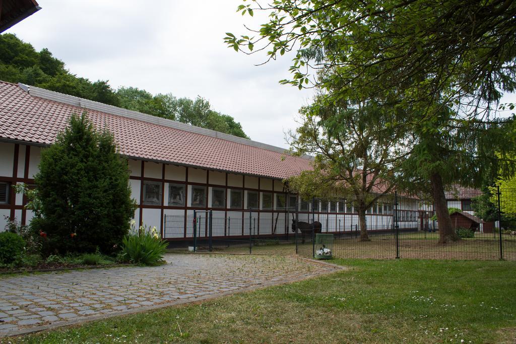 Gut Dankerode Apartman Dankerode  Kültér fotó